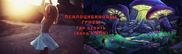 соль ск Белокуриха