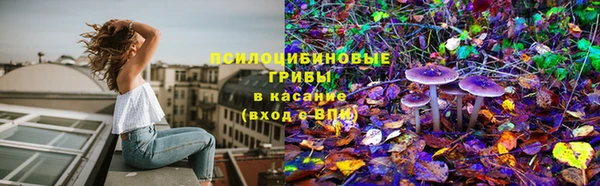 соль ск Белокуриха