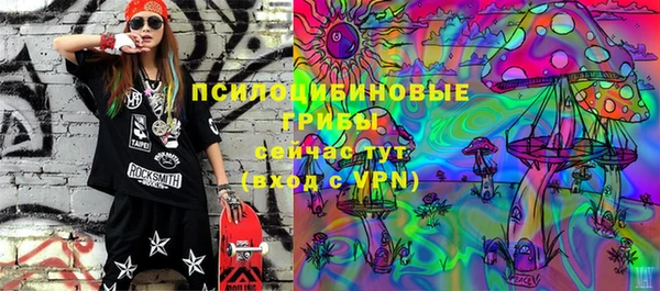 соль ск Белокуриха