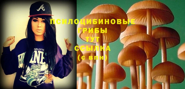 соль ск Белокуриха