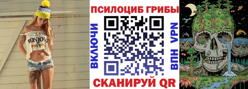 Галлюциногенные грибы ЛСД что такое Дальнегорск